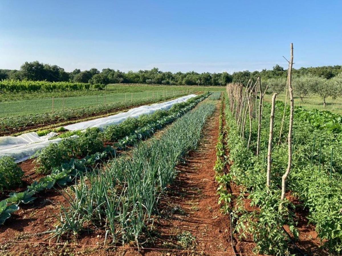 Farmhouse Cubani บาเล ภายนอก รูปภาพ