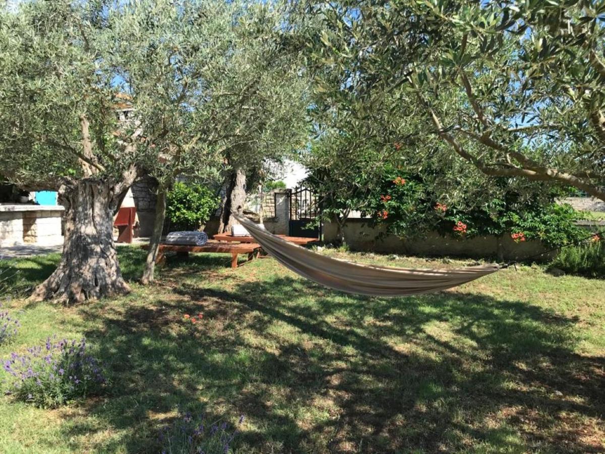 Farmhouse Cubani บาเล ภายนอก รูปภาพ