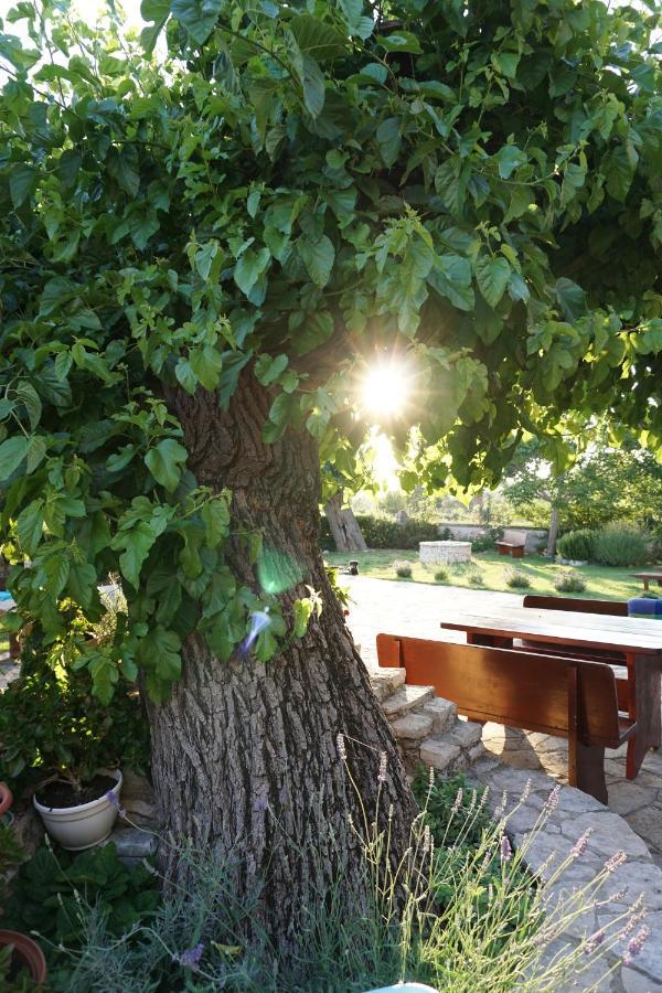 Farmhouse Cubani บาเล ภายนอก รูปภาพ
